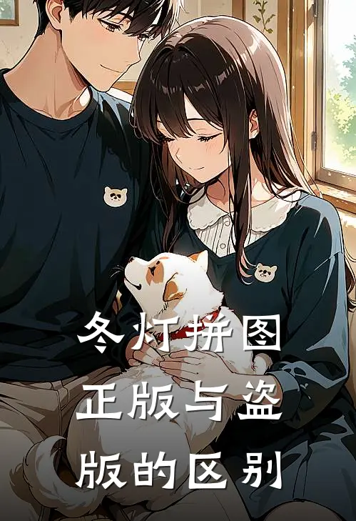 冬灯拼图正版与盗版的区别